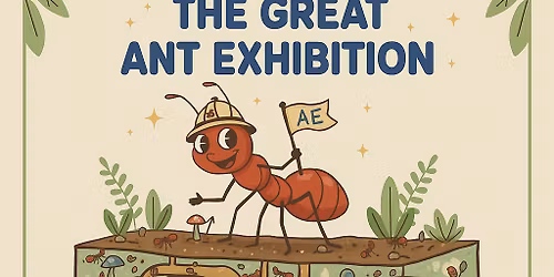 The Great Ant Exhibition Sheffield 2026