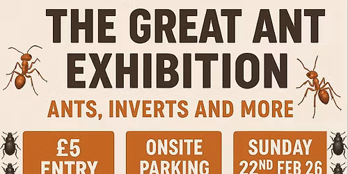 The Great Ant Exhibition Sheffield 2026
