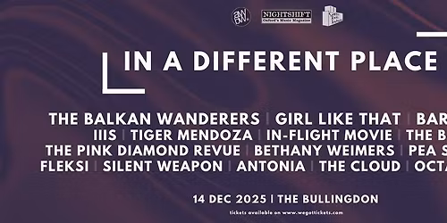 In A Different Place 2025 all-dayer: Sixteen of Oxfordshire's best acts over two stages