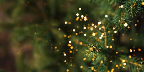 Holly Jolly Holiday Brunch at Le Croissant