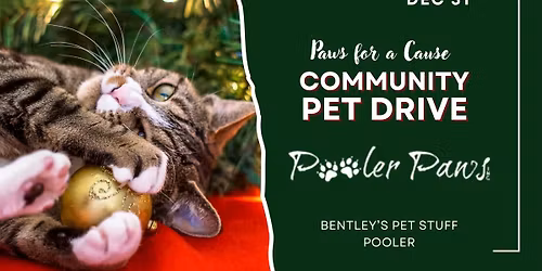Pooler || \ud83d\udc3e Giving Tree for Pooler Paws! Help Local Rescues This Holiday! \ud83d\udc3e\ud83c\udf84