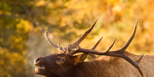 Ocmulgee River 2nd Annual RMEF Big Game Banquet