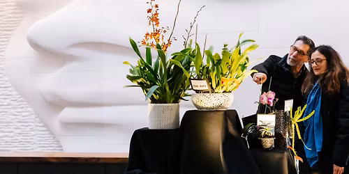 Orchid Show Presented by the Grand Valley Orchid Society