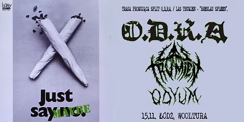  O.D.R.A. + LAS TRUMIEN + ODYUM \/ \u0141\u00f3d\u017a, Wooltura