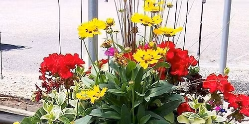 Plant Now - Pick Up Later Sunday Event 