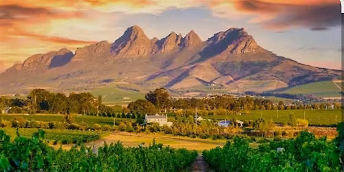 South Africa Wine Tasting