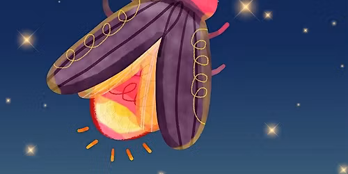 Jr. Scientists: Why Do Fireflies Glow?