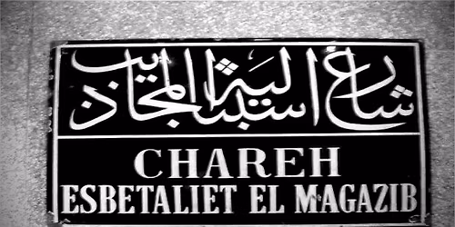 Yasmin Shafei - Dangerous Deviants: A History of Care for the Mentally Ill in Egypt
