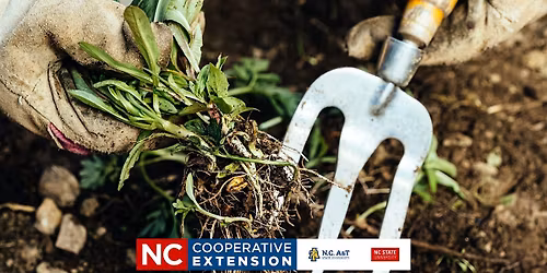 Effective W**d Control for Home Lawns