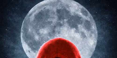 The Wolf and the Red Hood: Book Launch Experience