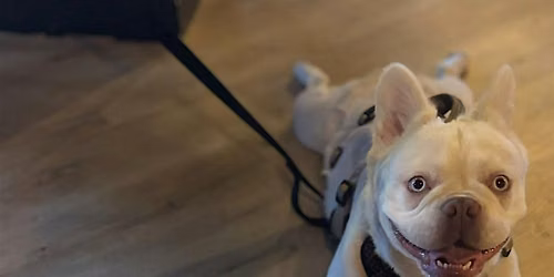 Yappy Hour!