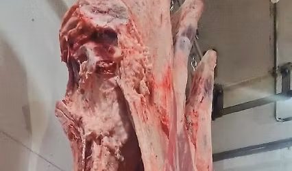 Locker Date for December