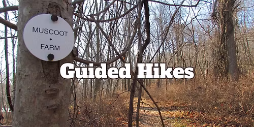 Guided Hikes