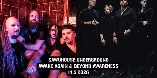 Awake Again & Beyond Awareness