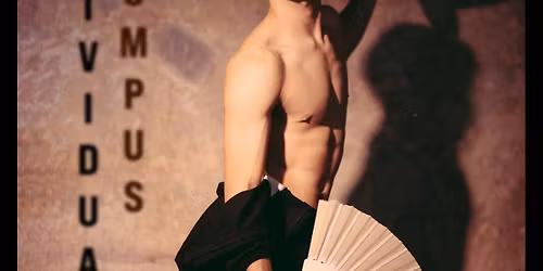 INDIVIDUAL COMPUS de Andrei M\u0103jeri