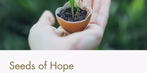Seeds of Hope: Fertility Support Group