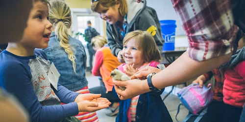 Farm Babies (Afternoon)