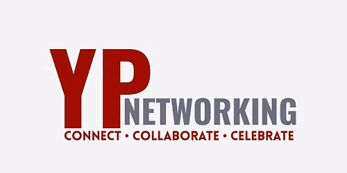 Young Professionals Networking