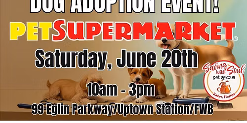 Dog Adoption Event at Pet Supermarket in Uptown Station!