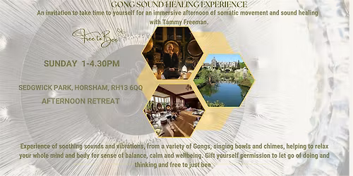 June  Sedgwick Park Gong Sound Healing Experience with Tammy Freeman