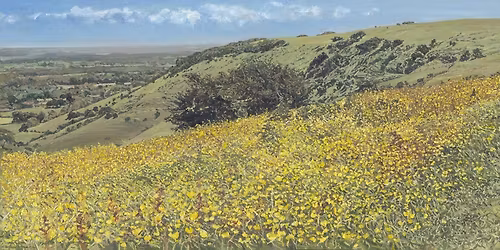 Open House - South Downs Paintings +10 makers. First 4 Sat & Suns in May  2\/3 - 9\/10 - 16\/17 - 23\/24