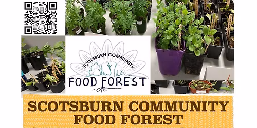 Annual Plant Sale Scotsburn Community Food Forest