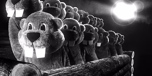 Hundreds of Beavers: Revenge of the Beavers Tour + Q&A
