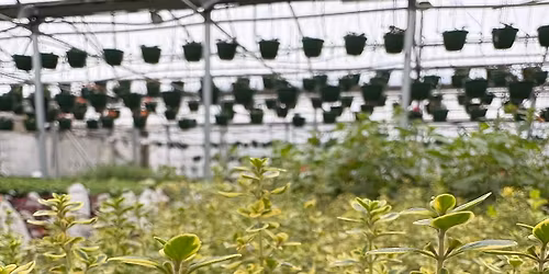 Container Herb Garden Workshop