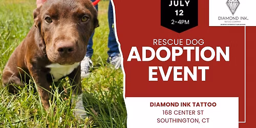 Adopt a Rescue Dog in Southington CT