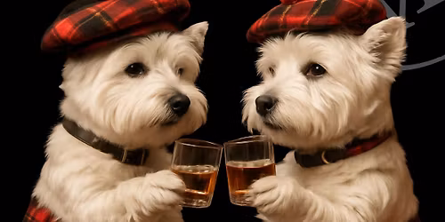 St Andrew's Day Celebrations 2025