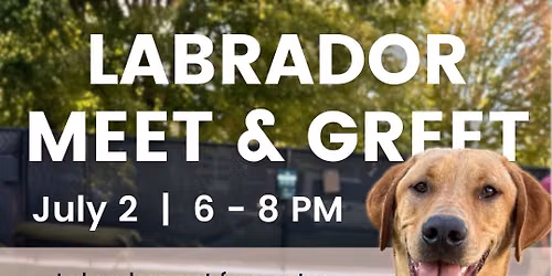 Labrador Retriever Meet Up Night
