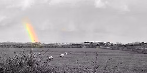 The Nebraska Tour - A Tribute