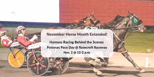 Harness Racing Behind the Scenes