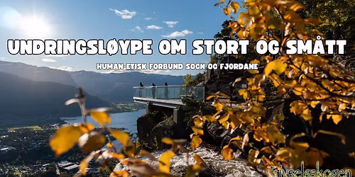 Undringsl\u00f8ype om stort og sm\u00e5tt i Trivelsskogen