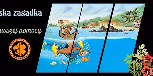 15h Kurs Pierwszej Pomocy- Hawajska Zagadka