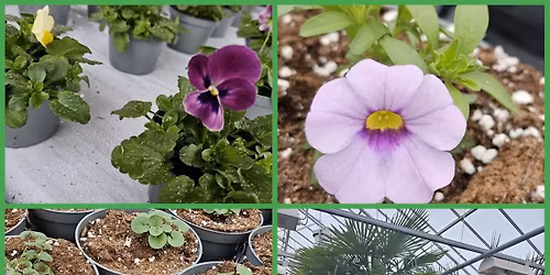 Gr\u00f8nn opplevelse