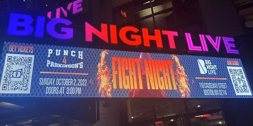 Punch 4 Parkinsons at Big Night Live