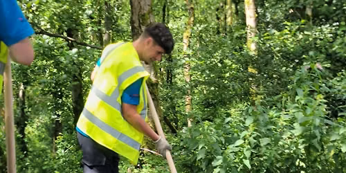 volunteer dig- ZonaMoller 