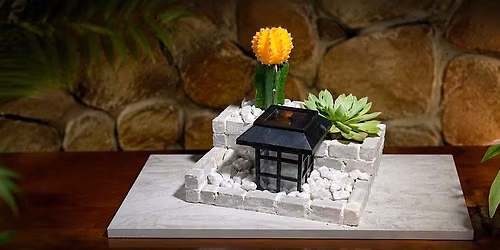 Miniature Zen Garden Build Workshop  @ Jesse's (3 seats per sign up!)