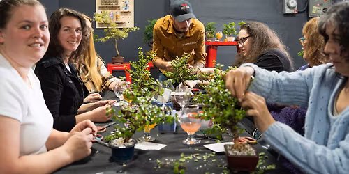 Bonsai Workshop at Magic 13 Brewing Co.
