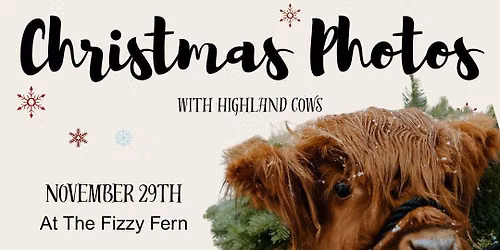 Highland Cow Christmas Photos
