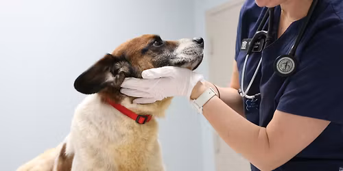 Roswell Vaccine Clinic