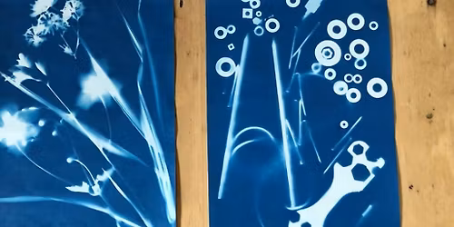 Meet and make: cyanotype printing at Sudley House