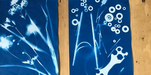 Meet and make: cyanotype printing at Sudley House