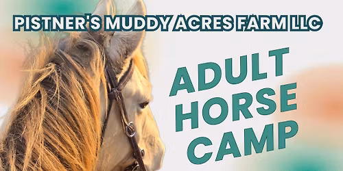 Adult Horse Camp