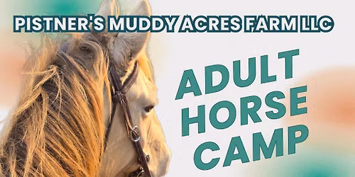 Adult Horse Camp