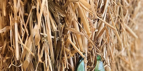 Glass Tree Ornament Class