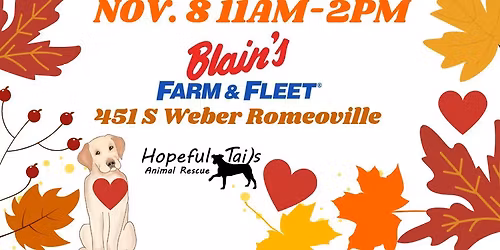 Falling In Love Adoption Event