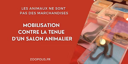 Andr\u00e9zieux-Bouth\u00e9on (42) : Manif contre la tenue d'un salon animalier