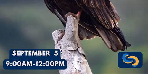 First Saturday - September: Keep Calm and Carrion